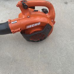 Echo Leaf blower 