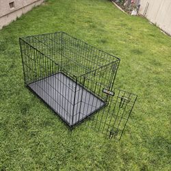 Large Dog Crate Measurements: 36in Long, 25in Tall and 22in Wide.