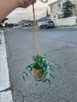 Hanging Basket with Artificial Plant