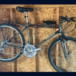 Bicycle Univega Alpina Última 1983