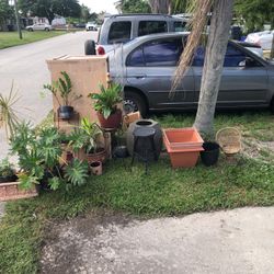 Plants And Pots Got To Go 50$
