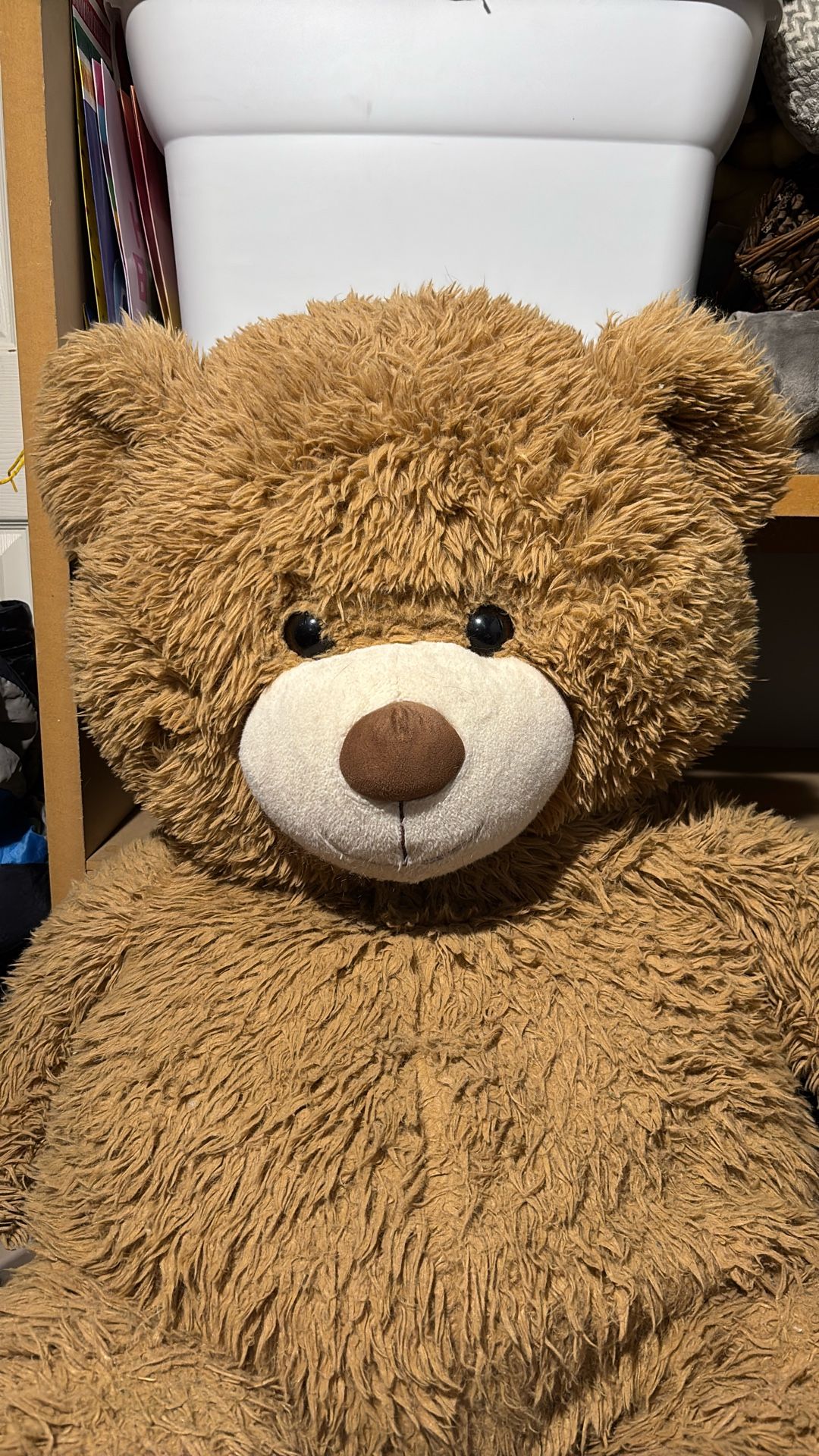Teddy Bear