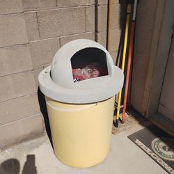 Vintage Top .... Commercial Heavy Duty Trashcan
