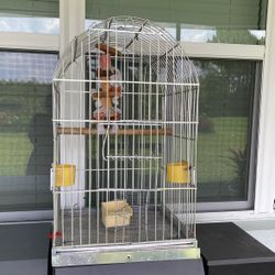 Bird Cage
