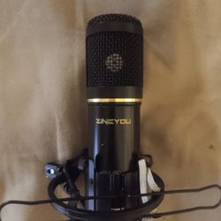Zincyou Microphone