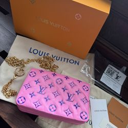 Louis Vuitton RARE LIMITED EDITION Pochette Cushion Purse