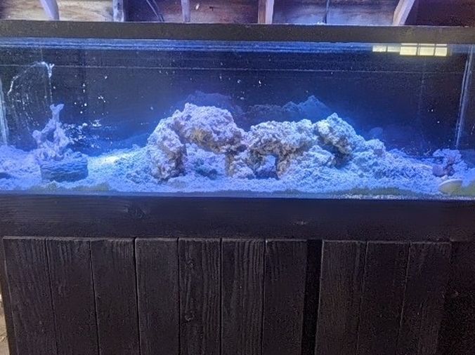 125 Gallon Aquarium With Homemade Stand