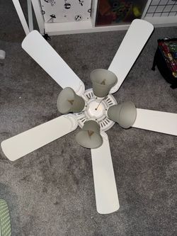 Two Ceiling Fans/Lights