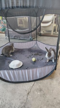 Metal Cage.