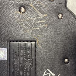 WWE SIGNED TITLE