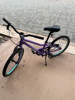 Guardian Bike 20 inch