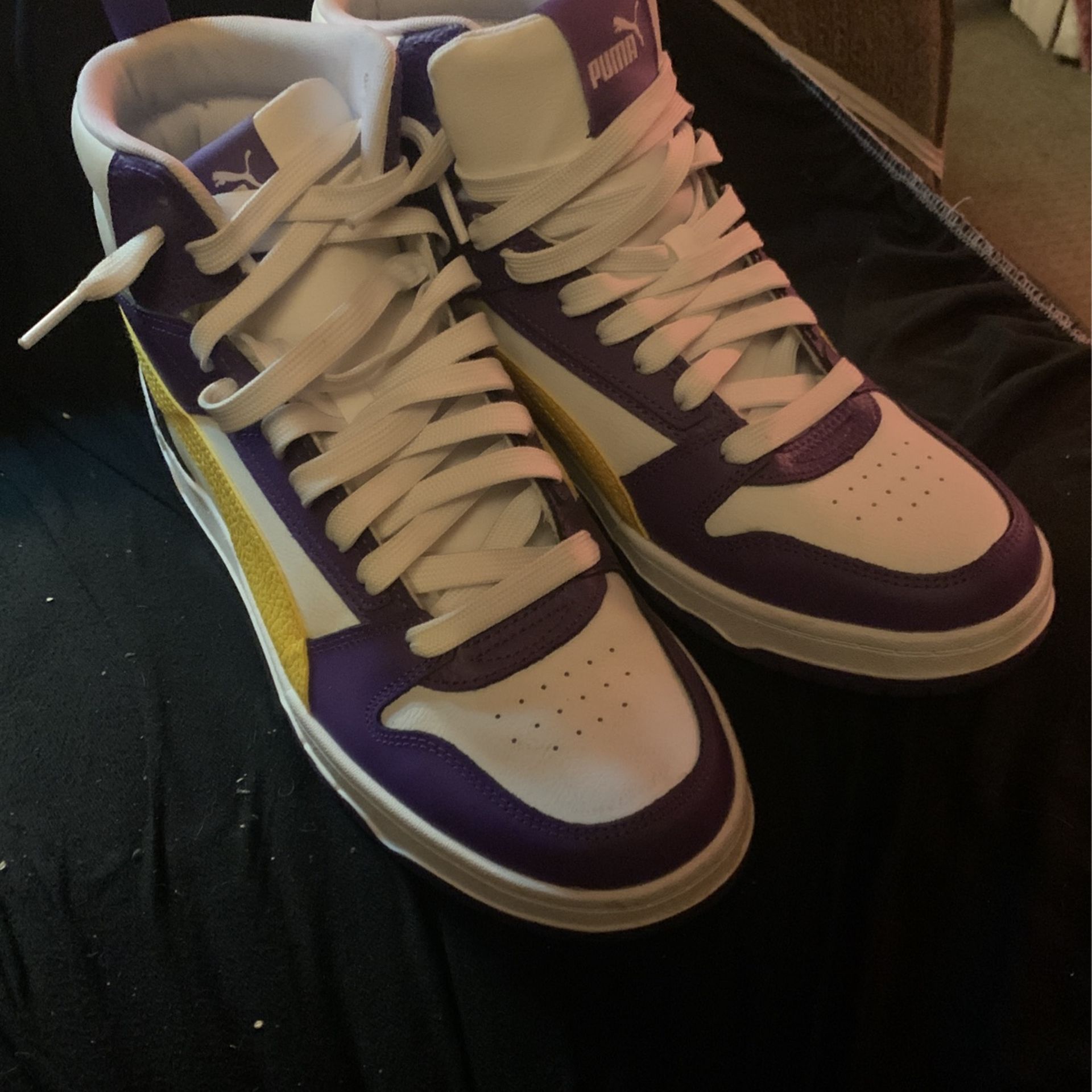 Pumas