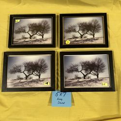 Scenic pictures of Riverview Park