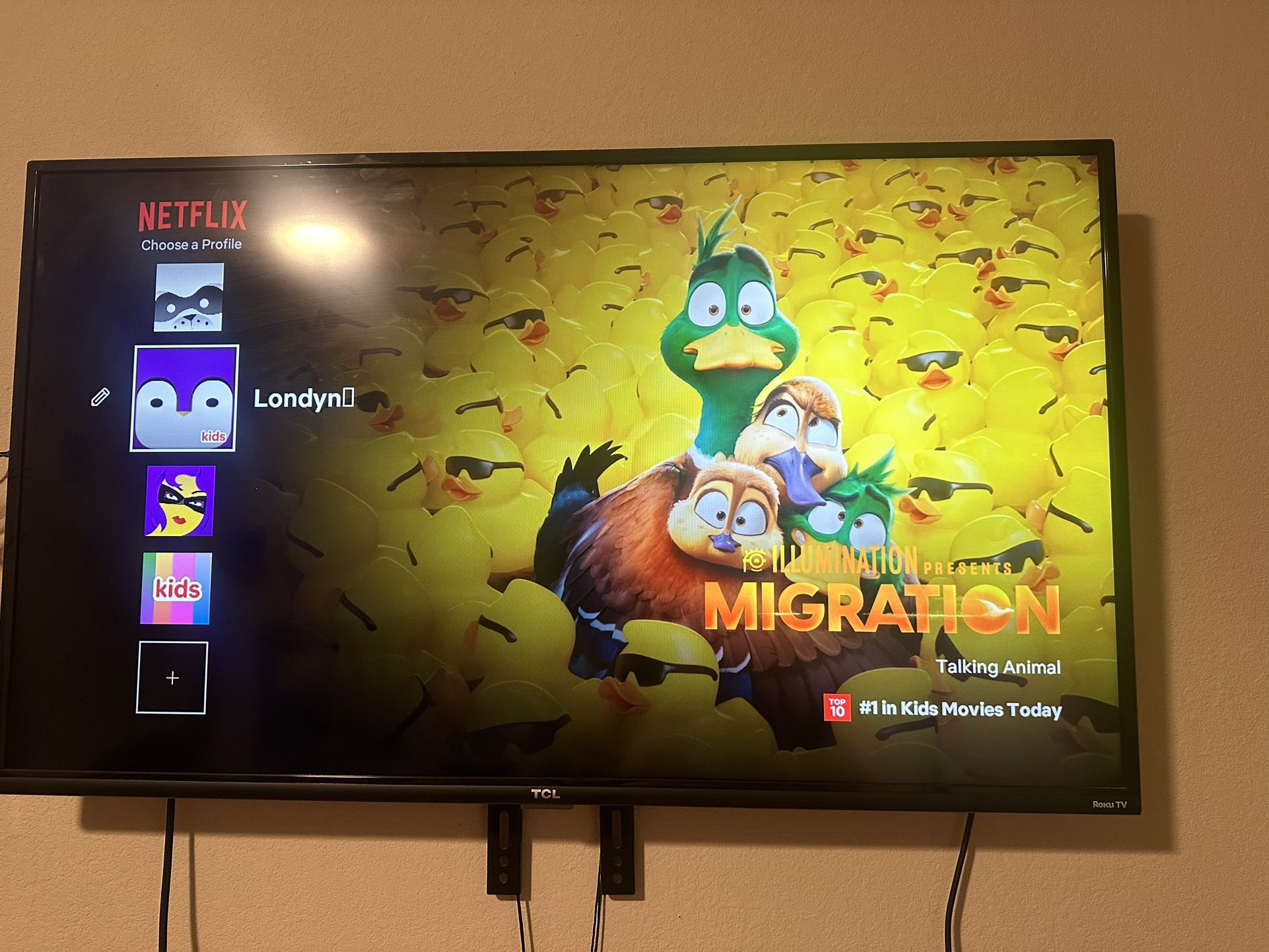 TCL Roku Tv