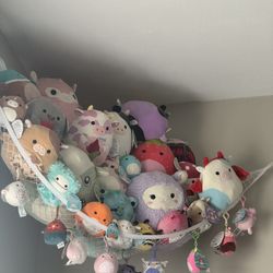 Squishmallows 