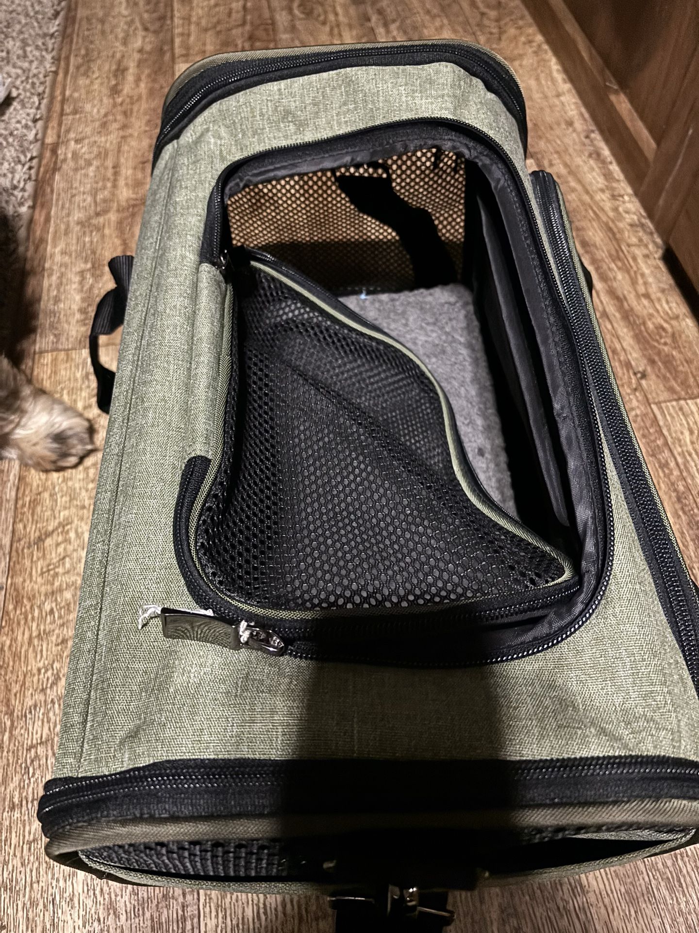 Soft Carrier