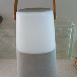 Ion Bright Max Bluetooth Speaker.