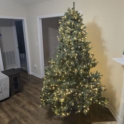 Balsam Hill Christmas Tree