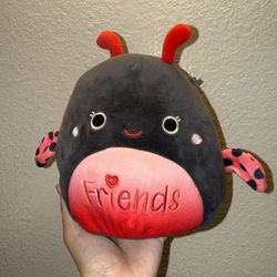 Ladybug Friend Squishmallow
