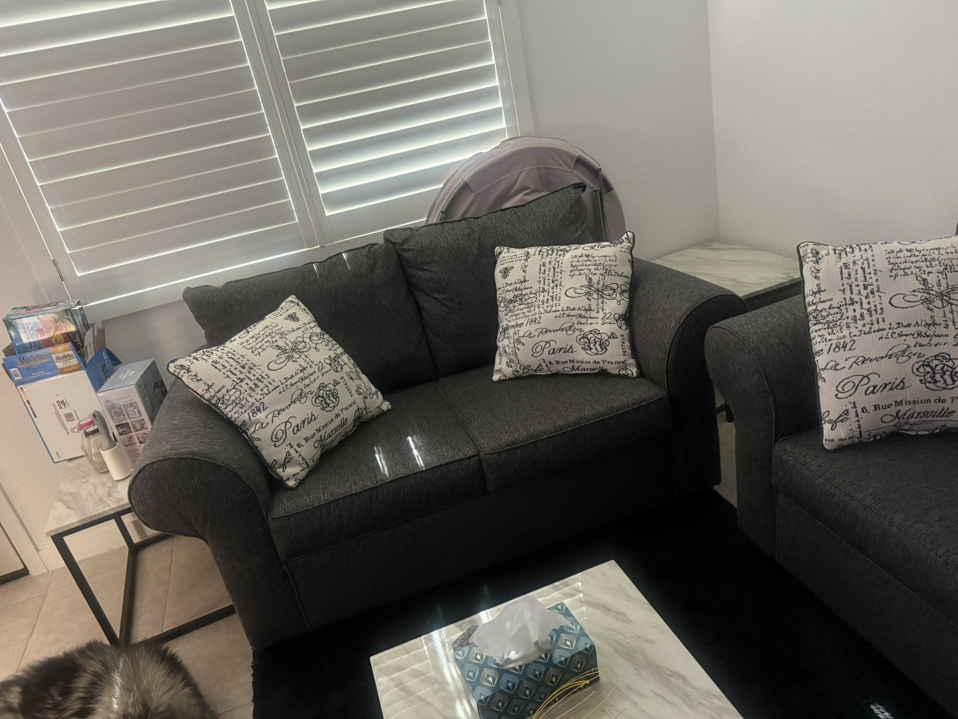 Two Couches $400