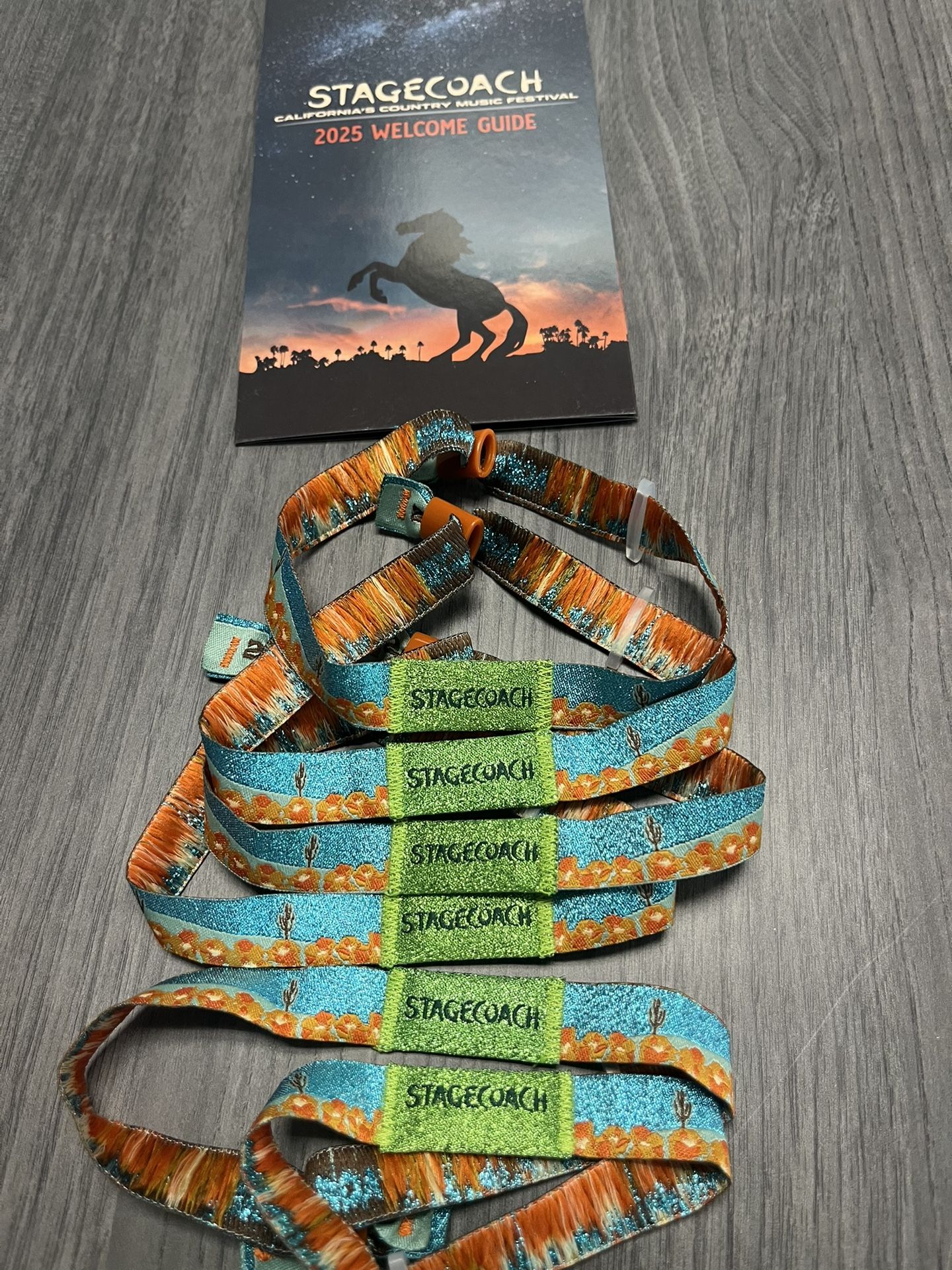 2025 Stagecoach Tickets