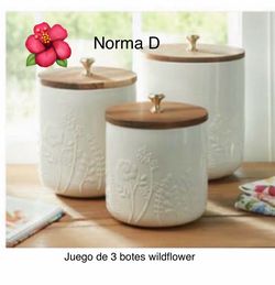 Juego de 3 botes wildflower nuevos en sus cajas 🌺 princess house 🌺