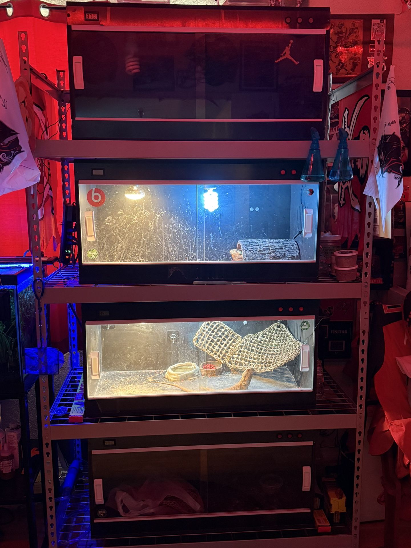 Reptile Enclosure