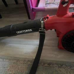 Nice Gas Leaf Blower