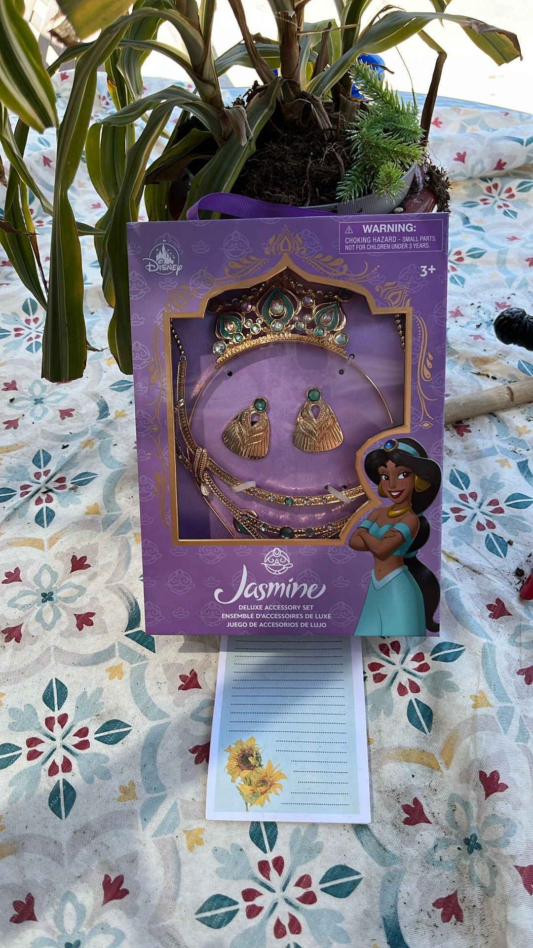 Princess Jasmine Deluxe Jewelry Set