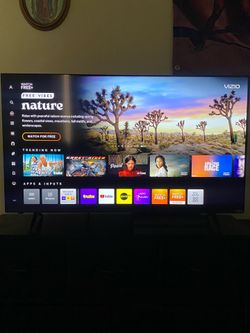Vizio Smart Tv
