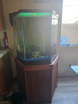 90 gallon tank filters and stand