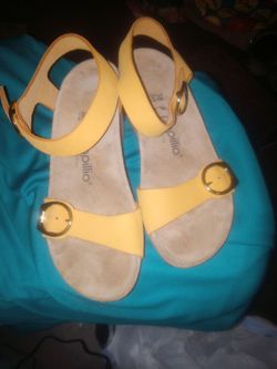 Papillon sz7.5