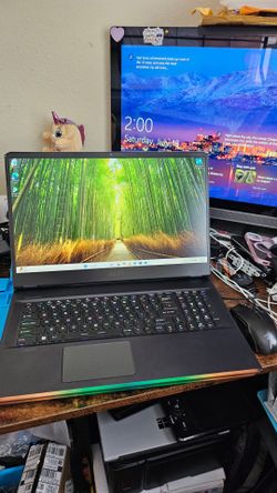 MSI Raider GE76, 17.3in FHD 144hz,  i7-11th gen, RTX 3060 6gb vga, 16gb ram, 1tb ssd, RGB light bar. Everything works well. Has a dent front left corn