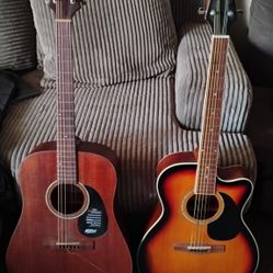 2 Guitars 1 GuitarCar Case