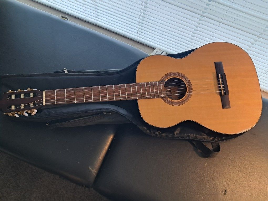 Acoustic Guitar