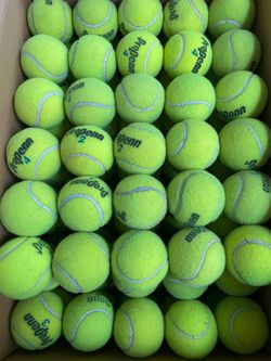 Bulk tennis balls, dog toys