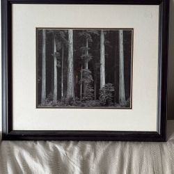Moving Sale: Framed Photograph 