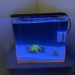 Deskmate 4.8 Gallon Saltwater Tank 