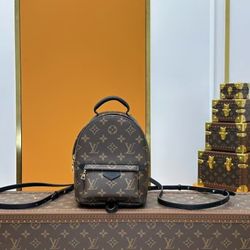LOUIS VUITTON Palm Springs Backpack for Women, Brown 22 x 10 x 17 cm