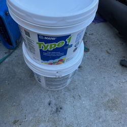 Type 1 Mapei Mastic 