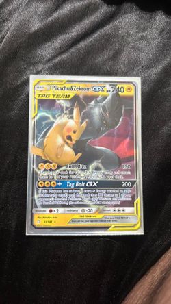 Pikachu and Zekrom