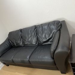 Leather Couches 