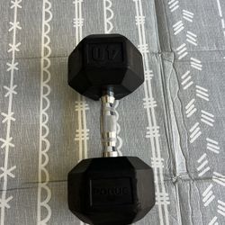 Rogue Dumbbells 35 lb/40 lb