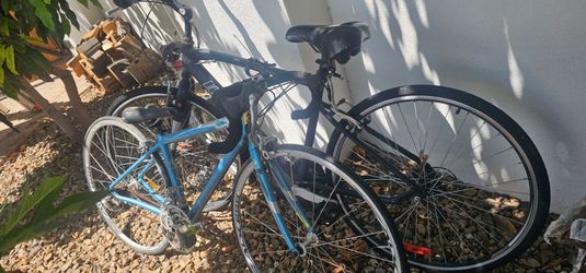 2 bikes need tlc 100 for both