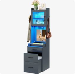 Wayfair Vanity