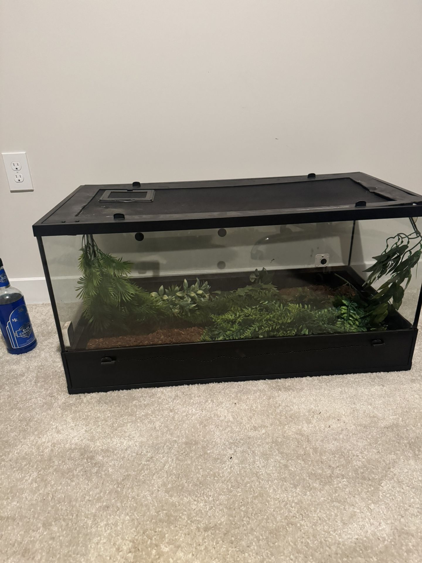 40 Gallon Tank With screen Lid And Pull Out Bottom
