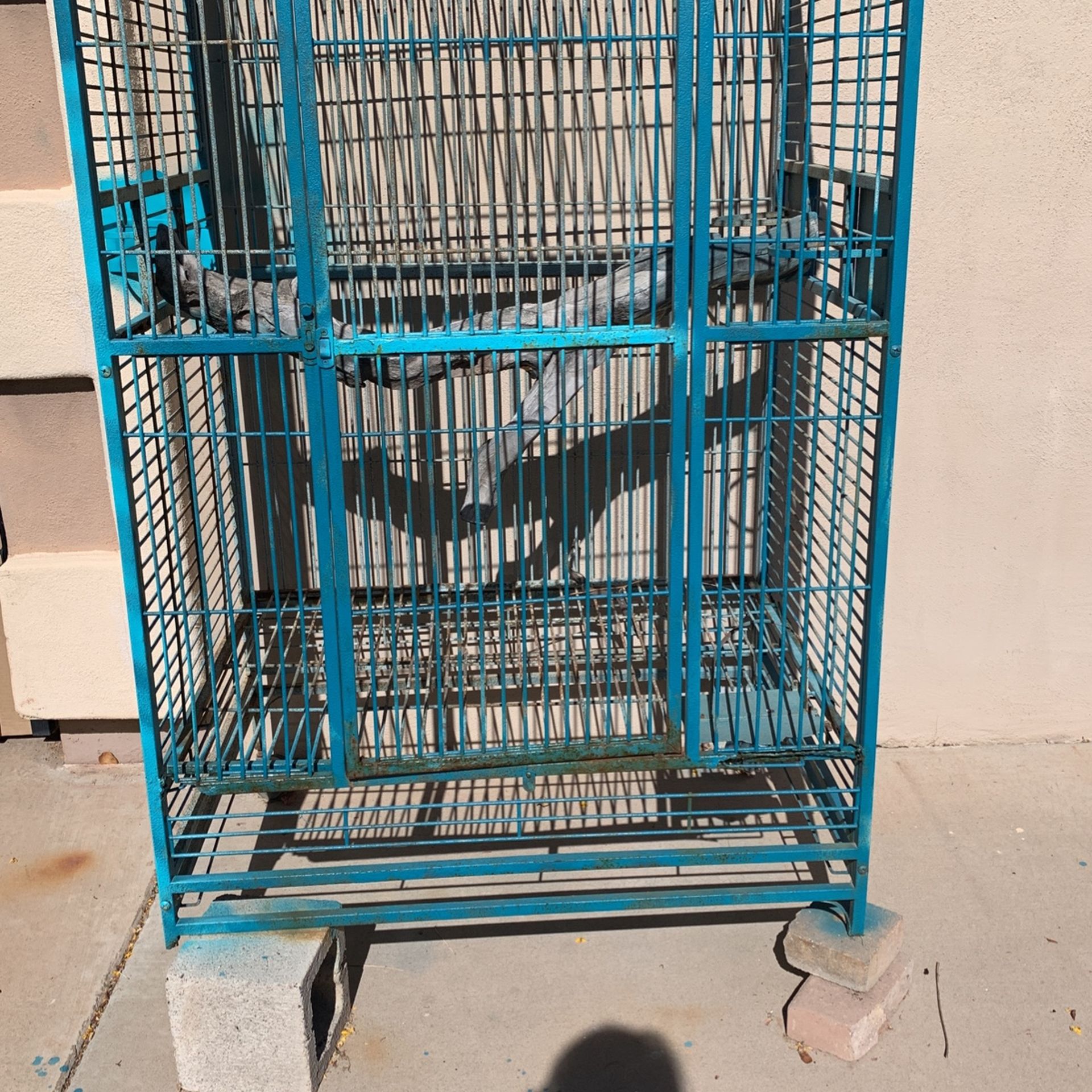 Animal , Bird , Cage