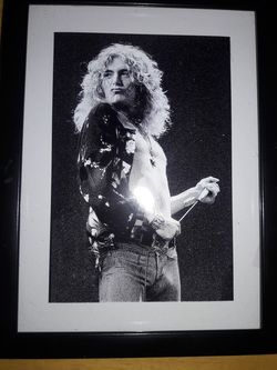 ROBERT PLANT PICTURE