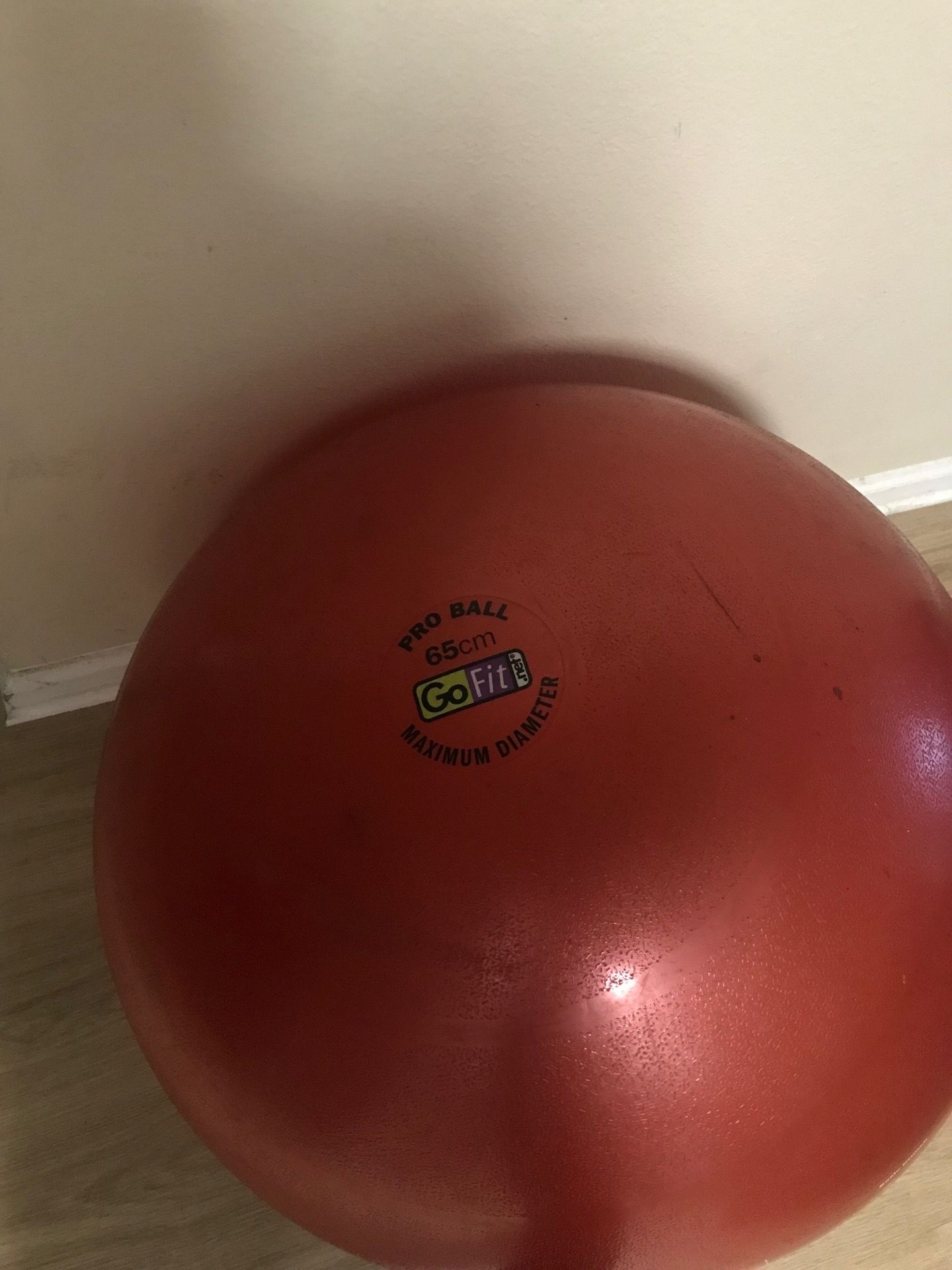 65cm Stability Ball