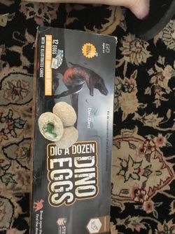 Dino Eggs